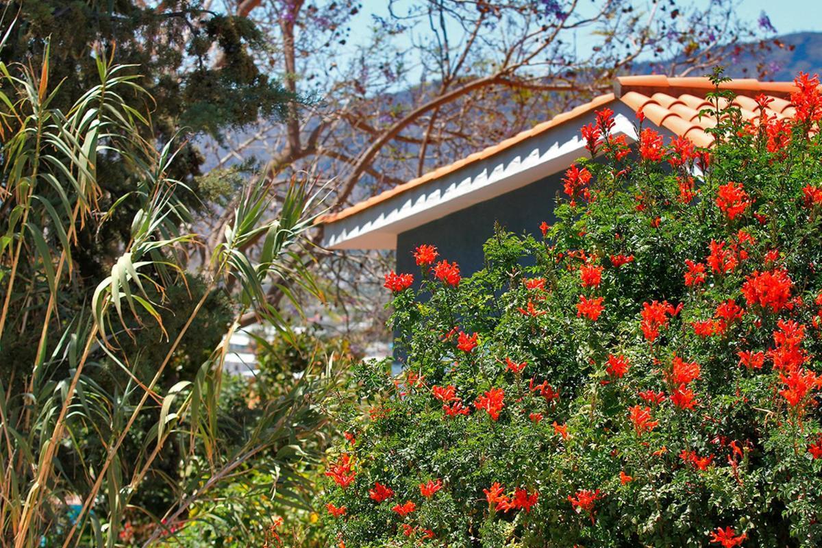 Casa Esther El Paso Dış mekan fotoğraf